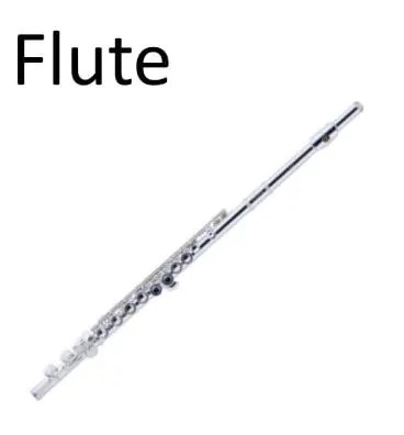 Flute Instrument