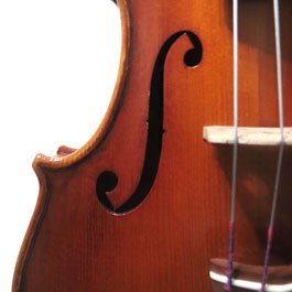 Strings music instruments