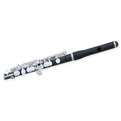 Piccolo Pearl PFP105E / Symphony