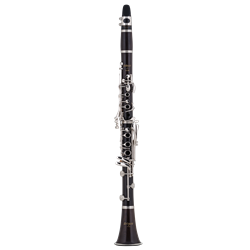 Clarinet Selmer CL201 / Academy