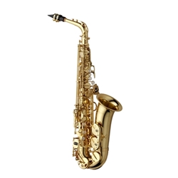 Alto Sax Yanagisawa AWO1 / Professional