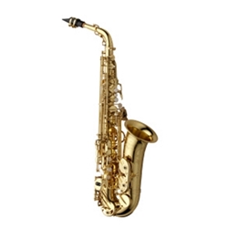 Alto Sax Yanagisawa AWO10 / Professional