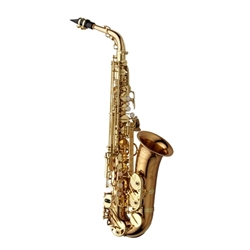 Alto Sax Yanagisawa AWO20 / Professional