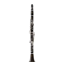 Clarinet Buffet BC1139L-2-0 Festival / Professional