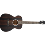 Guitar Deep Forest Acoustic-Electric /Academy