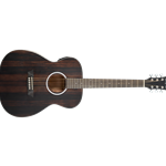 Washburn Deep Forest Accoustic/Electric Guitar
