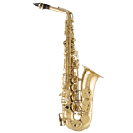 Alto Sax SAS711 Selmer / Professional