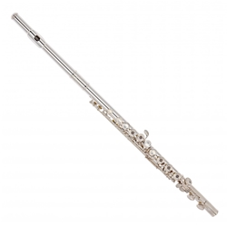 Flute Powell PS-101 / Academy