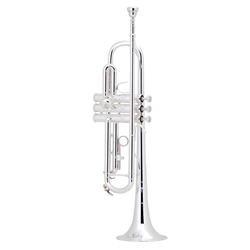 Trumpet Bach TR200S / Symphony