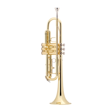 Trumpet Bach TR300H2 / Academy