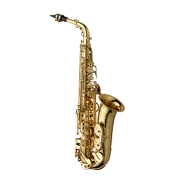 Alto Sax Yanagisawa AWO10 / Professional