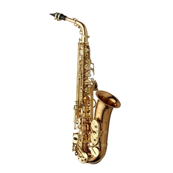 Alto Sax Yanagisawa AWO20 / Professional