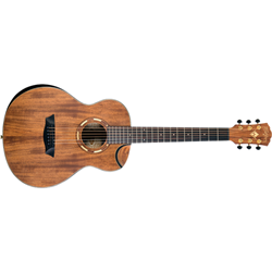 Guitar Washburn Comfort Mini Koa / I