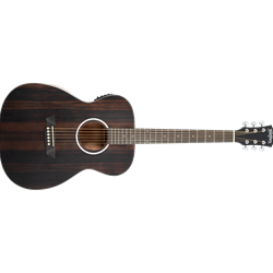 Washburn Deep Forest Accoustic/Electric Guitar