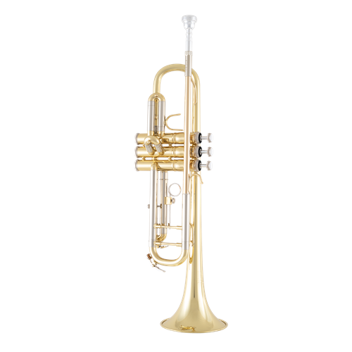 Bach BTR301