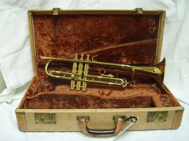 vintage music instrument